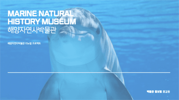 리뉴얼 프로젝트 제안 프레젠테이션