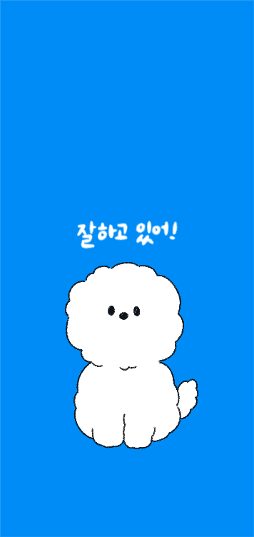 비숑의 응원 배경화면