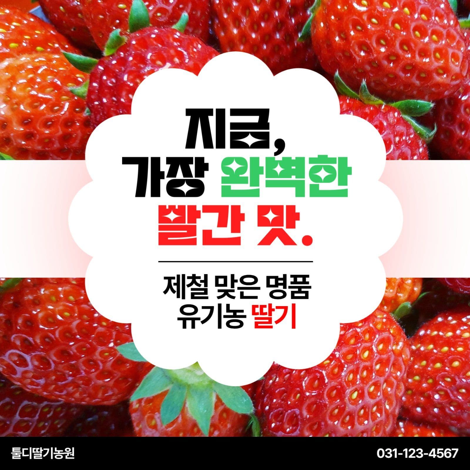 유기농 제철 과일 딸기 홍보
