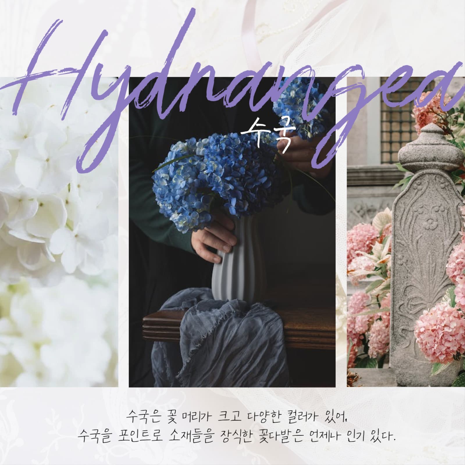 졸업식 꽃다발 추천 꽃집카드뉴스