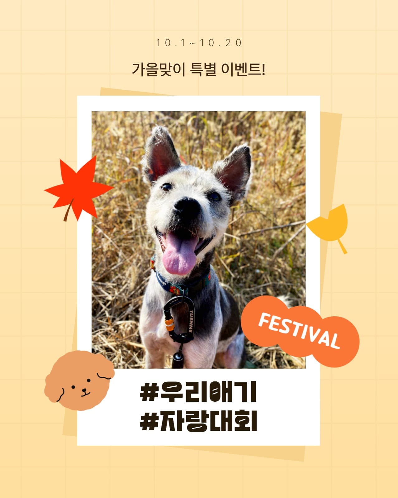 우리애기 자랑대회