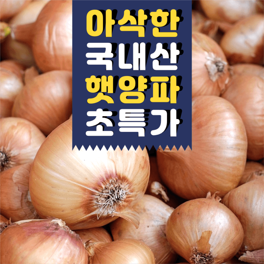 아삭한 국내산 햇양파 초특가 인스타
