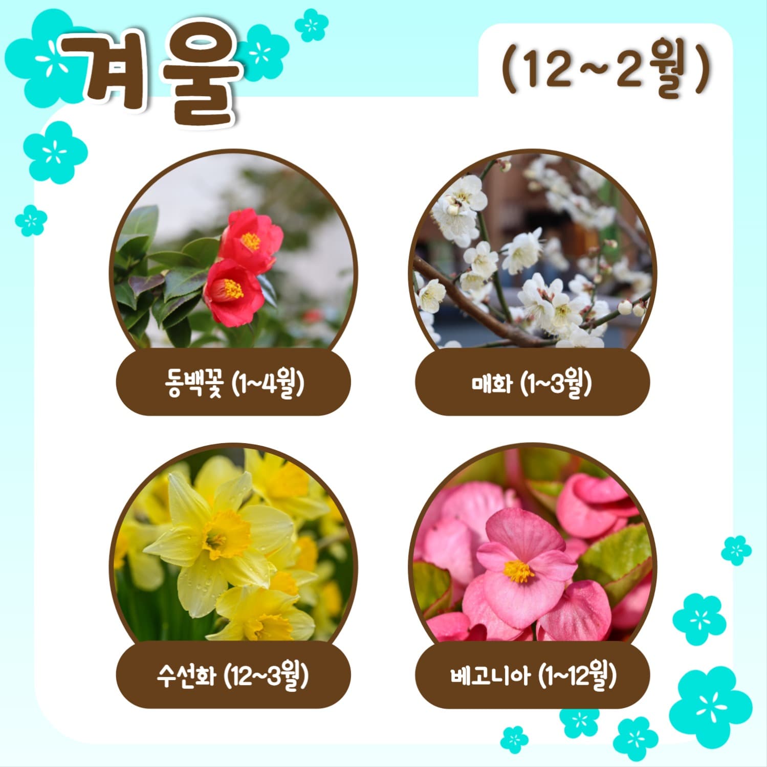 사계절 꽃 모음 템플릿