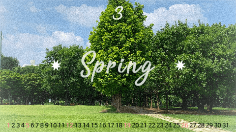 spring✷