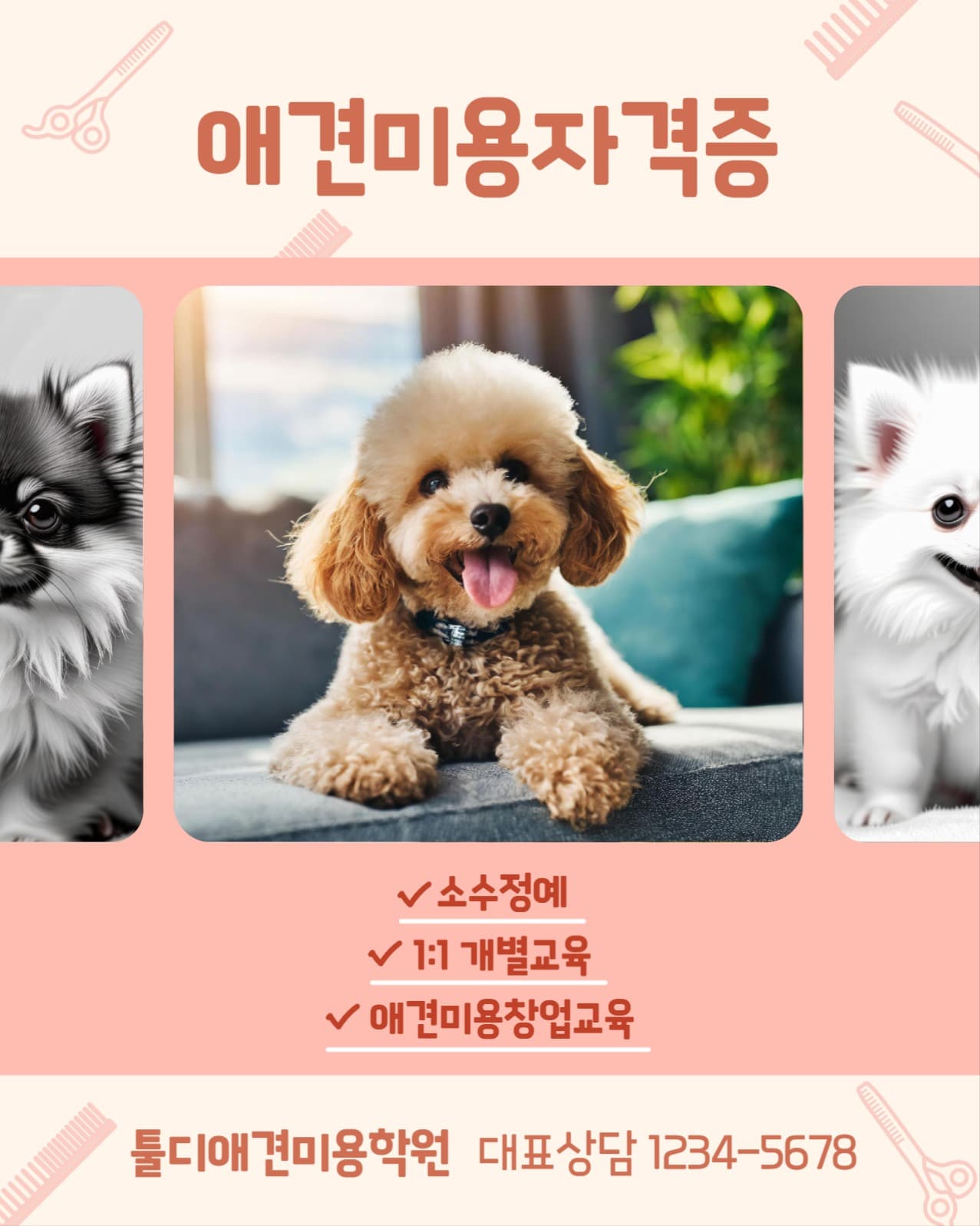 애견미용자격증