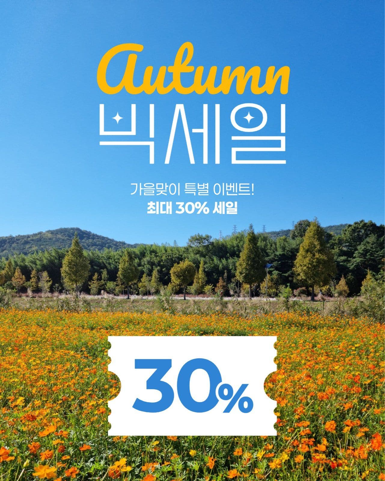 가을 세일 게시물
