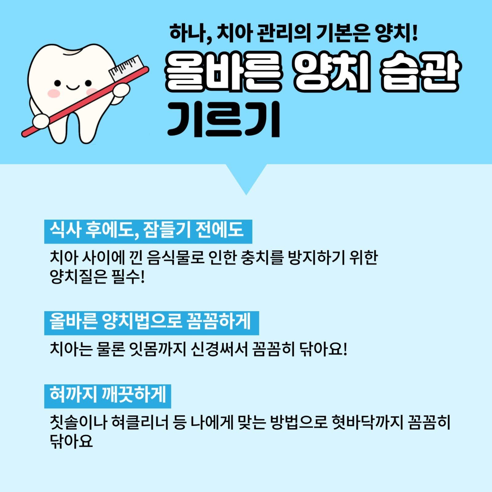 치아관리법