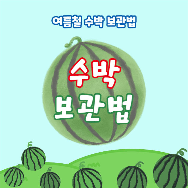 수박 보관법 (카드뉴스)