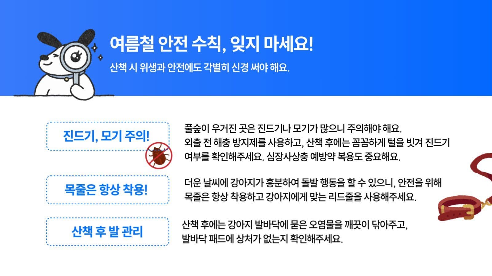 강아지 여름산책 주의사항