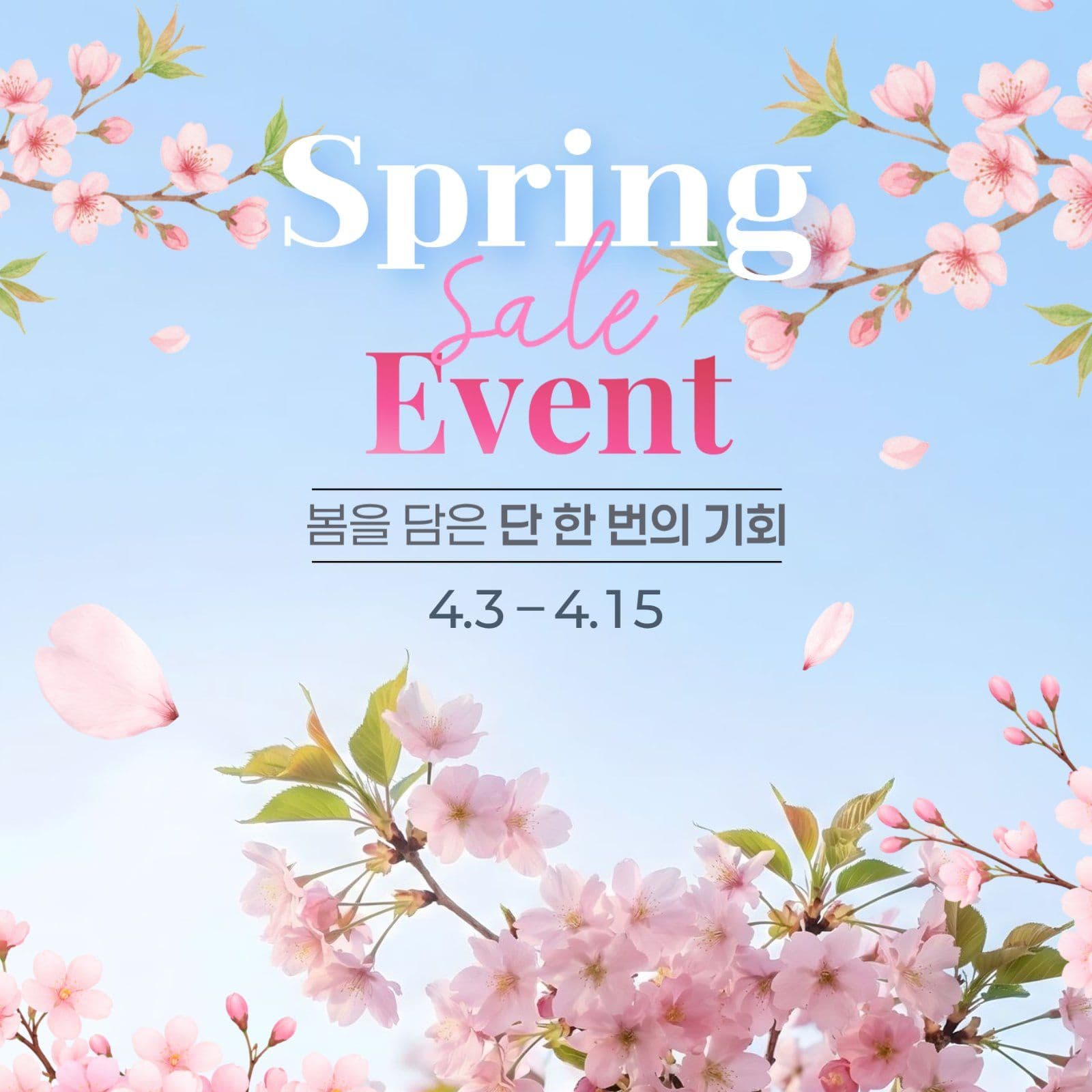 봄맞이 세일 이벤트 홍보