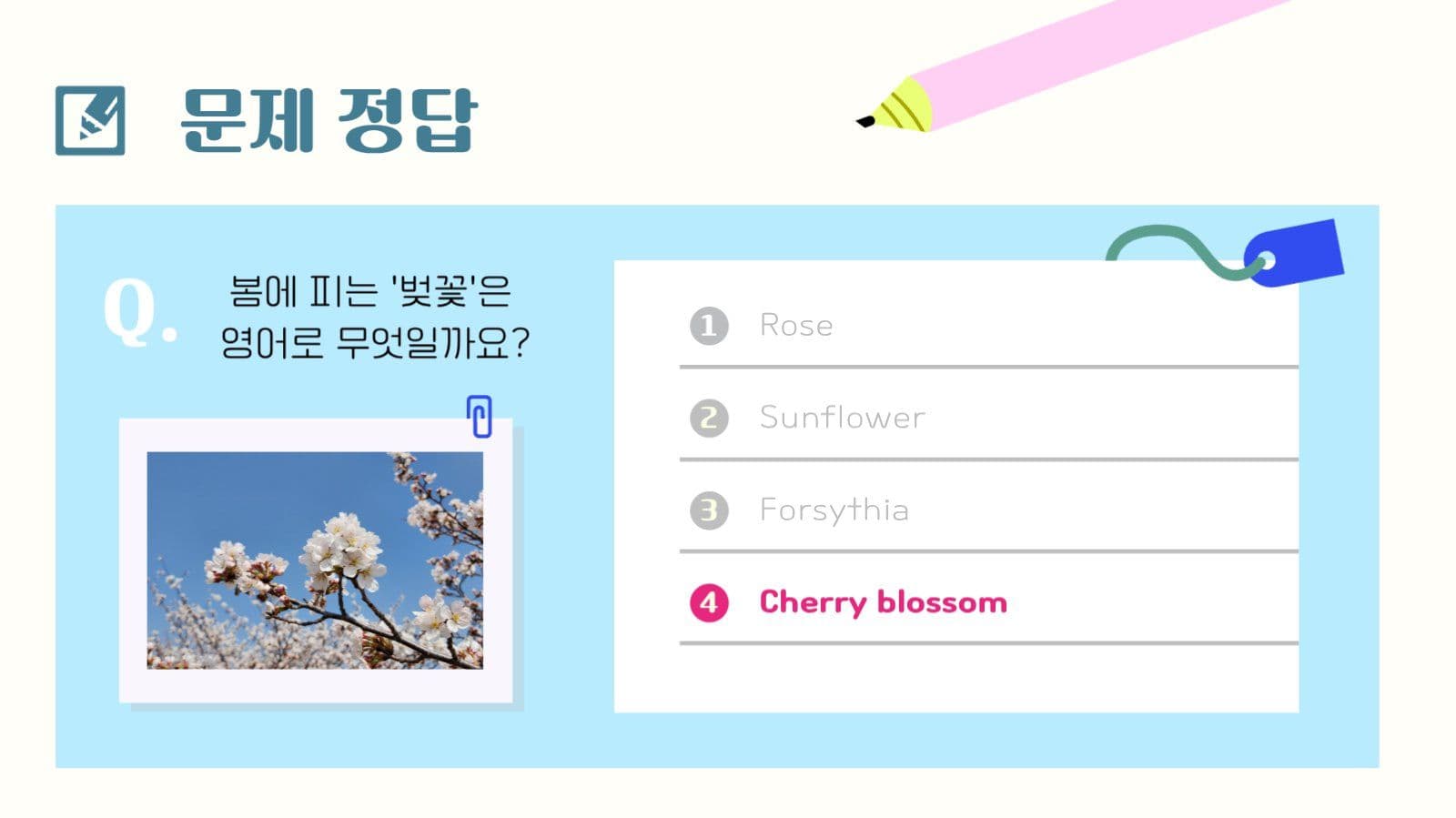 강사용 레이아웃 수정 PPT