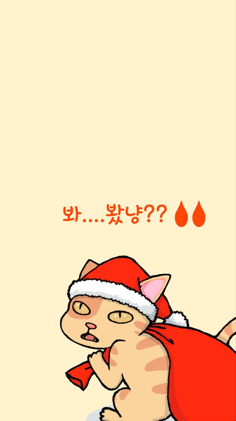 딱 걸린 냥이