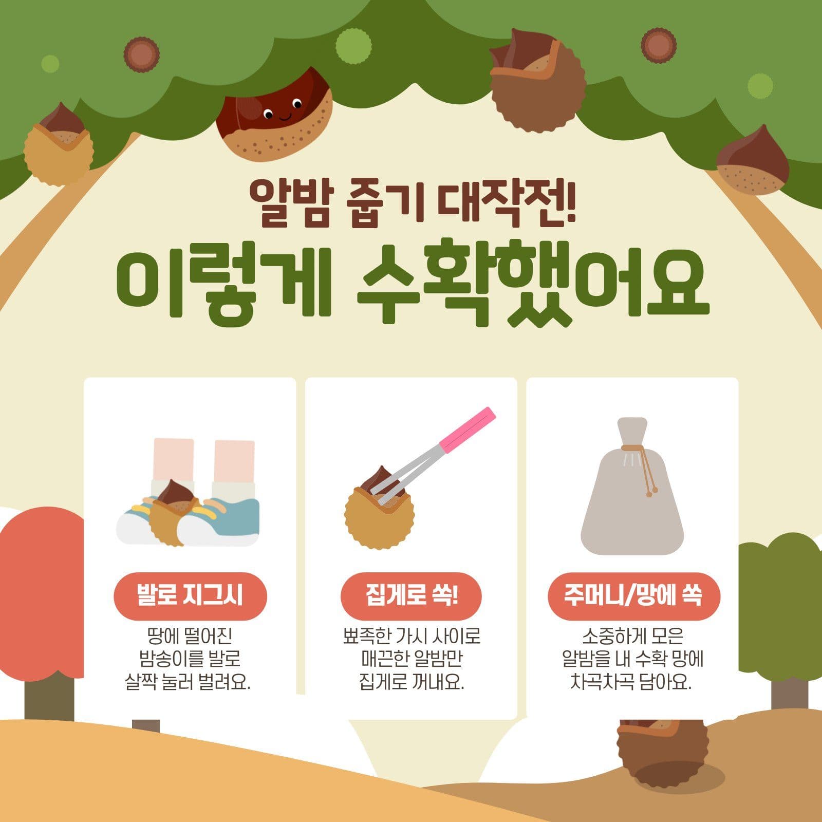 가을소풍 밤수확 Card News Templates