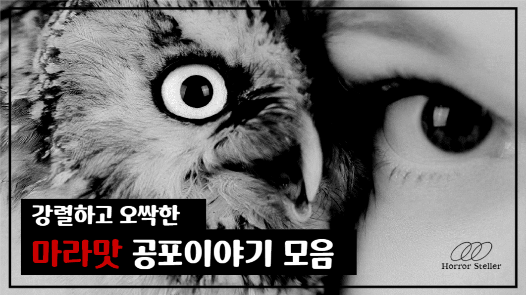 유튜브썸네일_ 공포이야기 모음