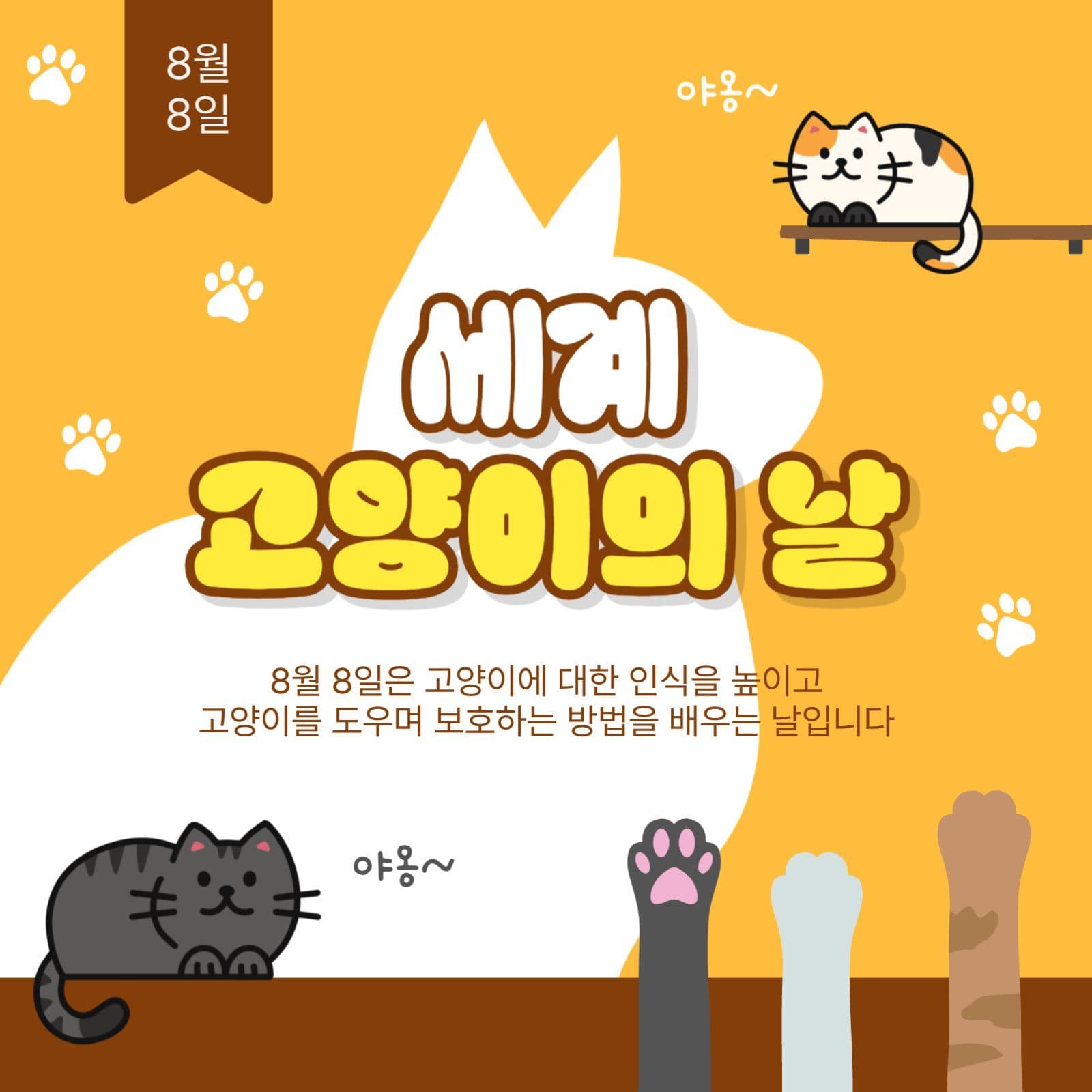 세계고양이의날