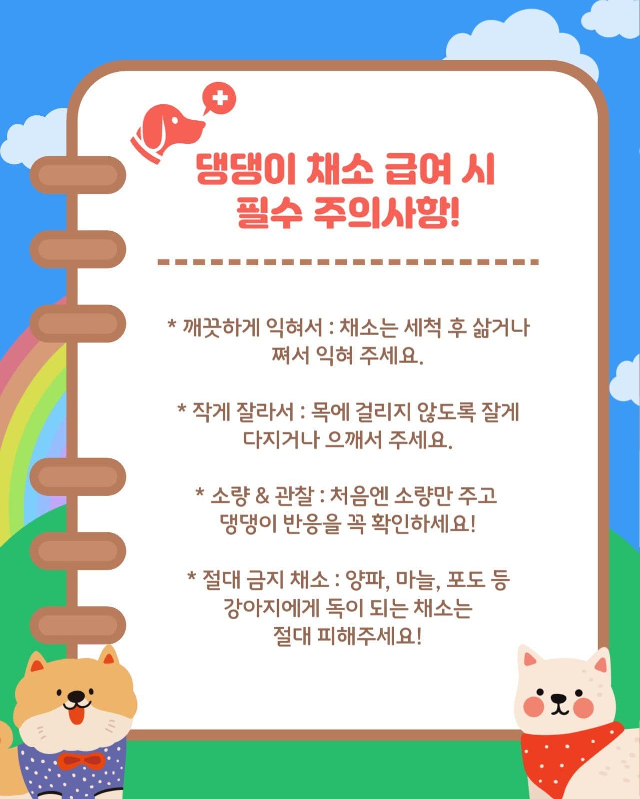 강아지에게 좋은 채소
