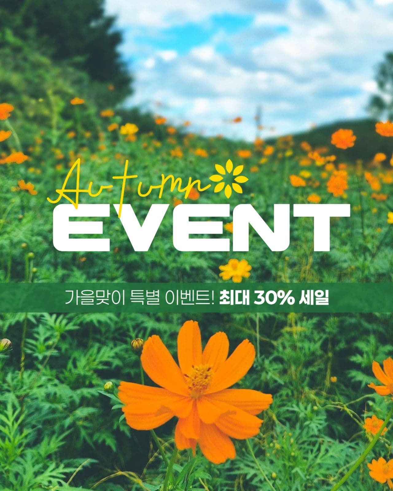 가을 이벤트 게시물