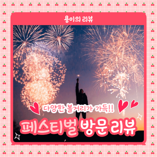 페스티벌 방문리뷰 (인스타)
