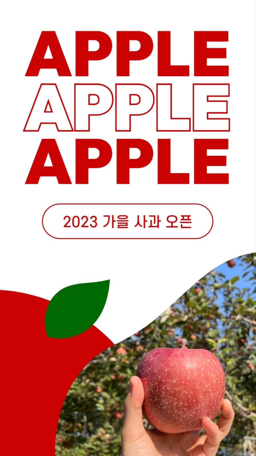 사과 오픈