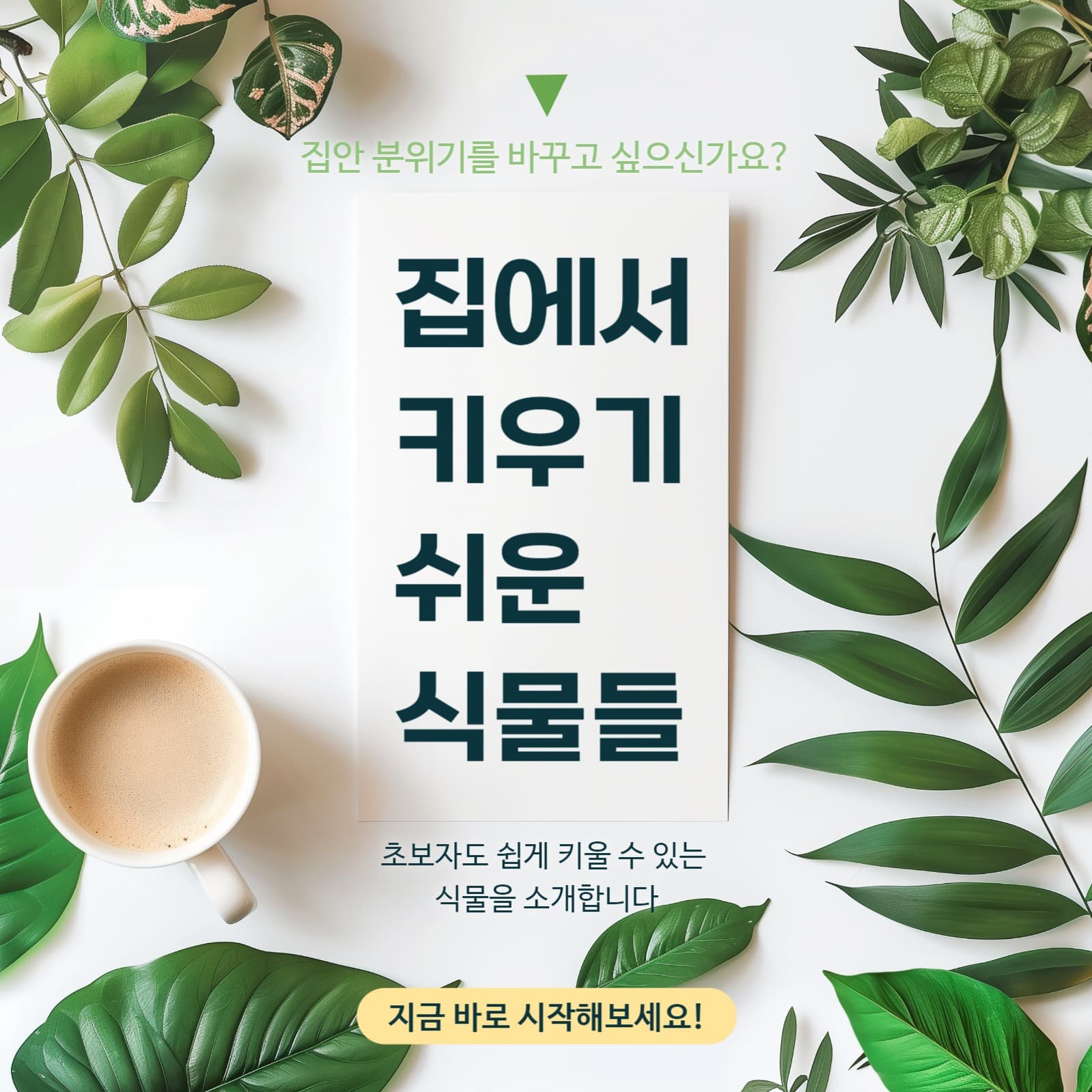 실내 식물 배경
