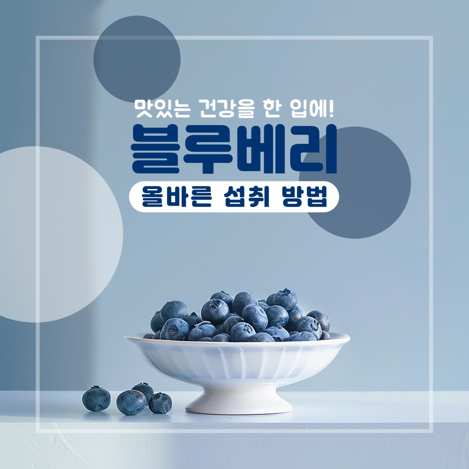 블루베리 홍보 배경 