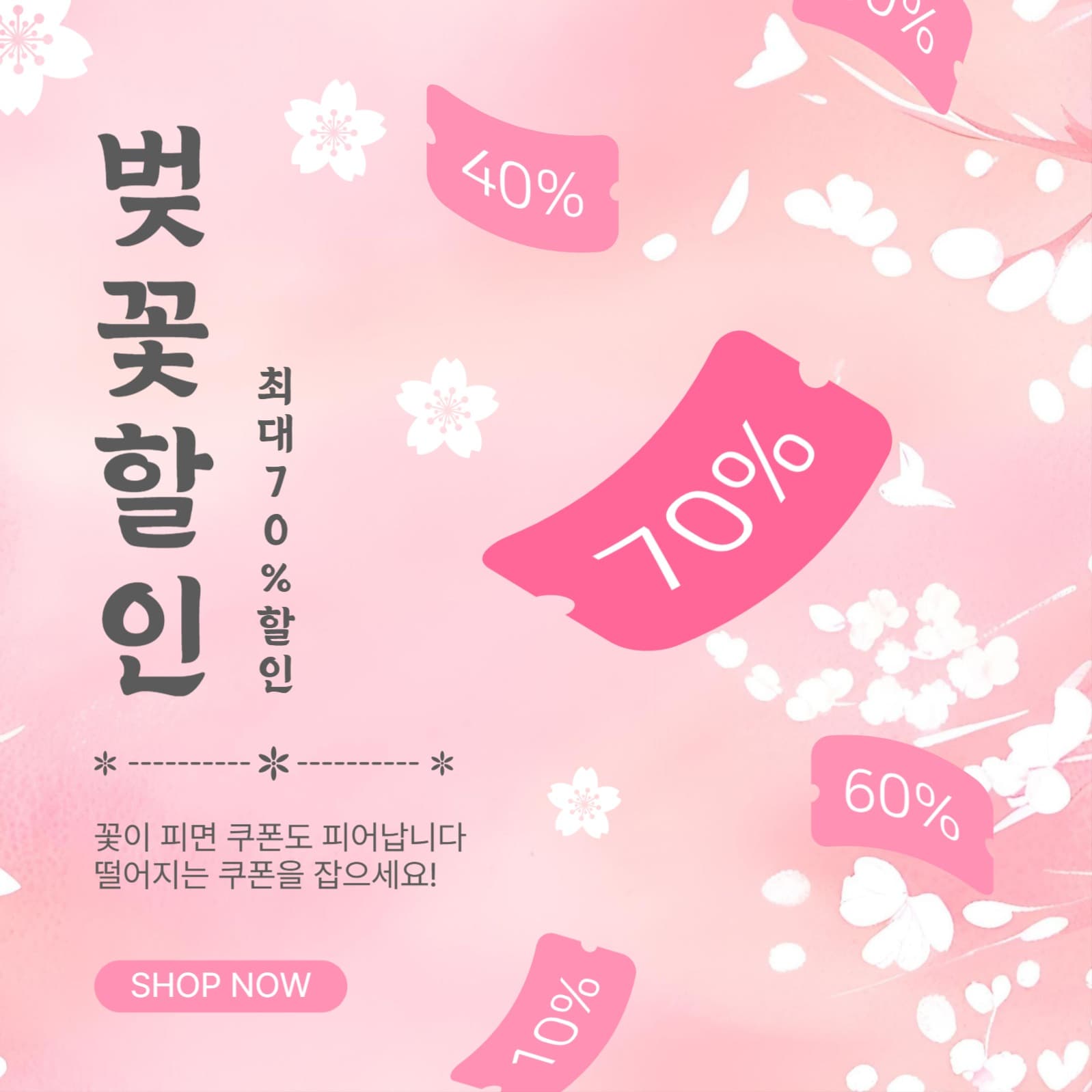 벚꽃할인