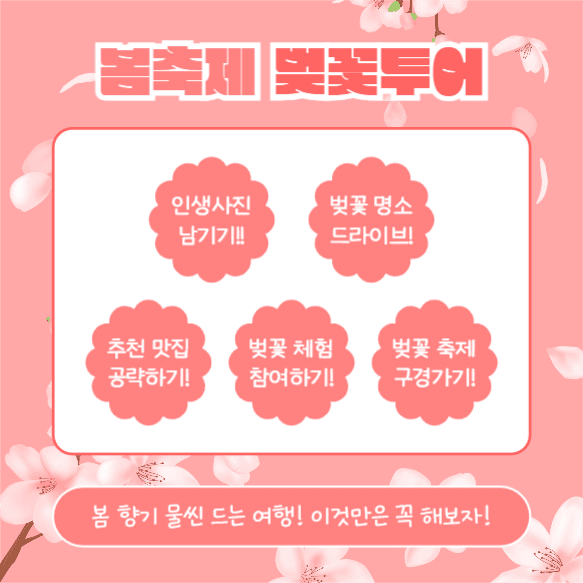 봄축제 벚꽃투어 (카드뉴스)
