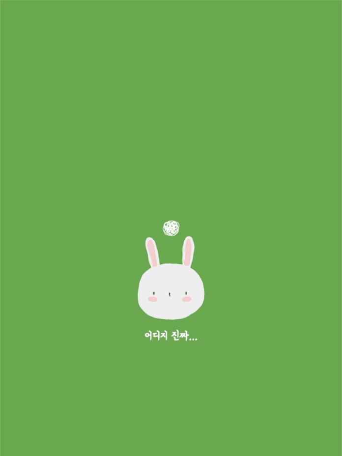 어디지 진짜 토끼 배경화면