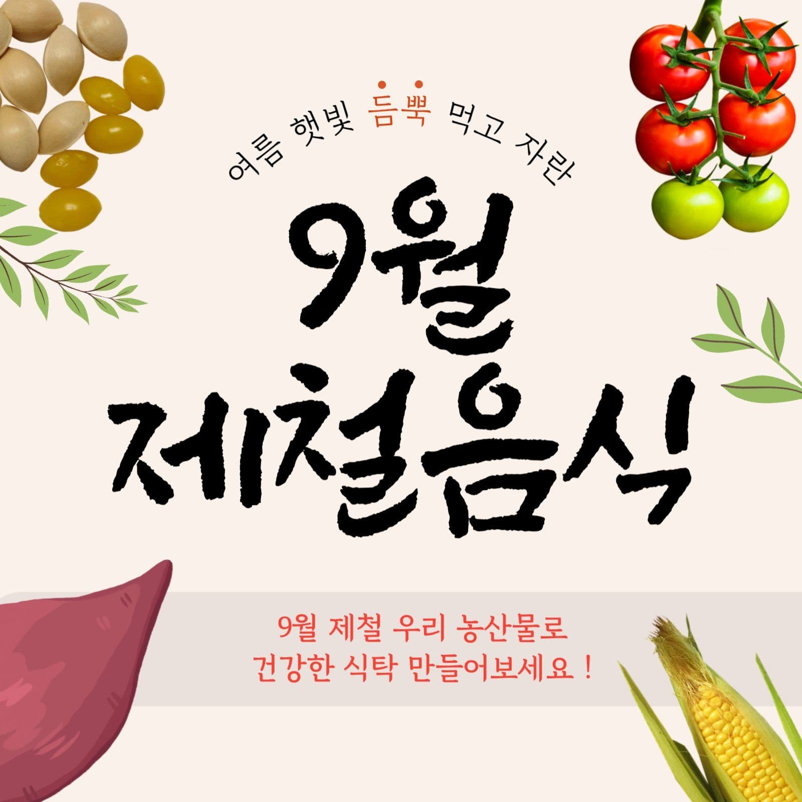 9월 제철음식 카드뉴스