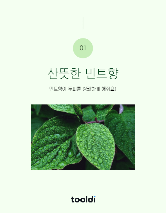 신제품 출시