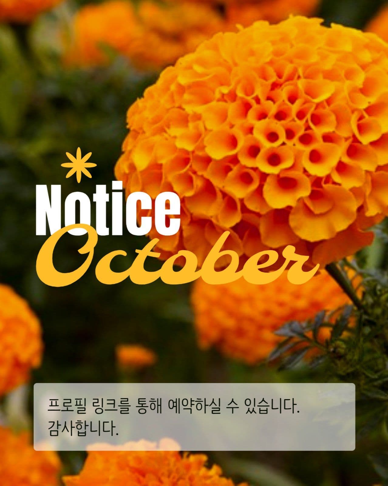 10월 예약 안내 게시물