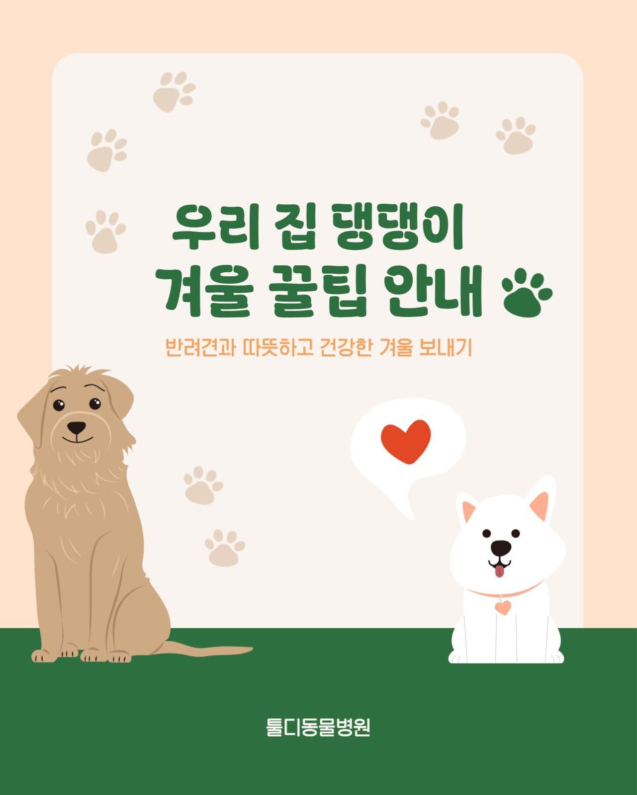 반려동물 강아지 건강 정보 카드뉴스