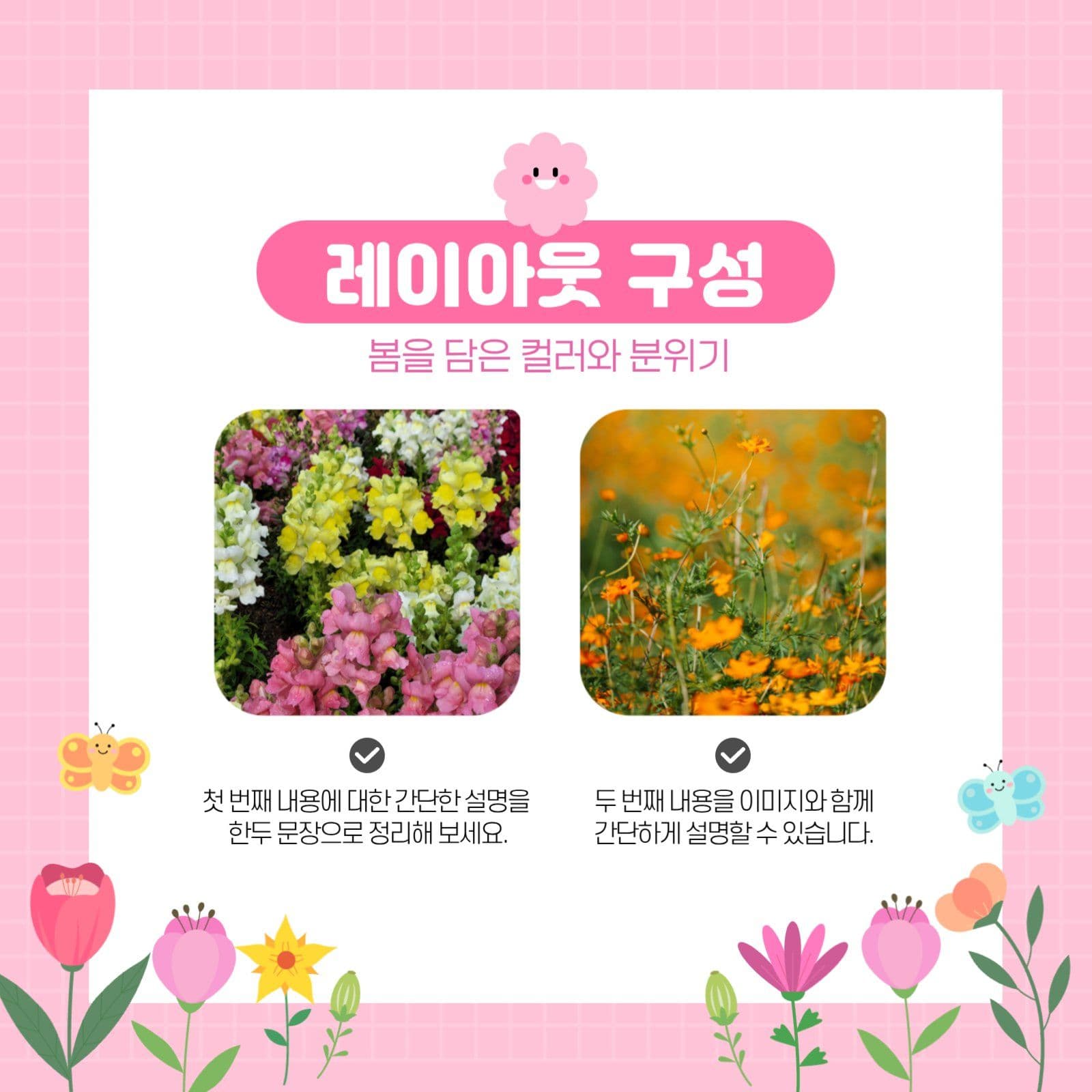 핑크 봄의 감성을 담은 카드뉴스