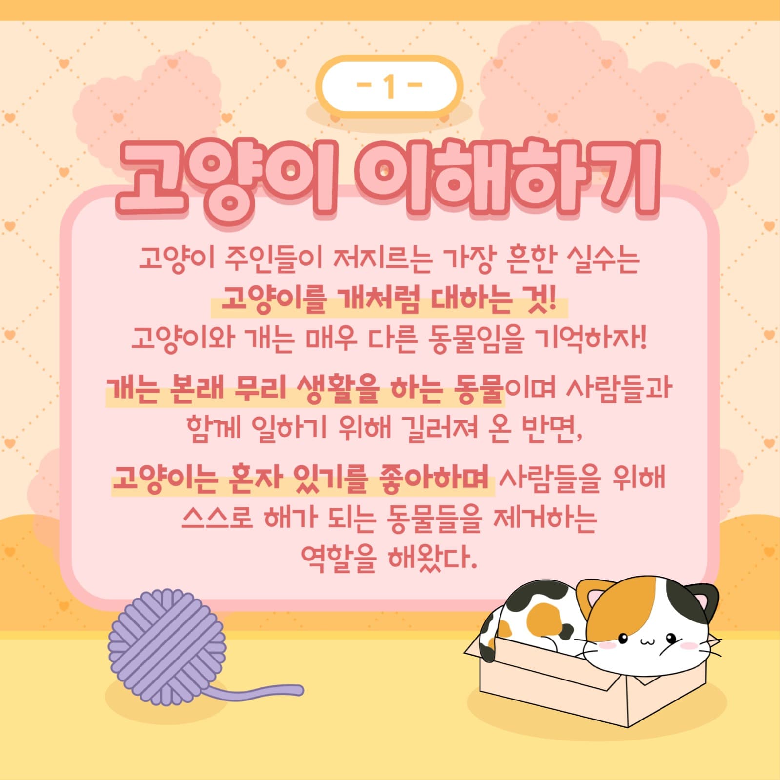 반려묘 템플릿
