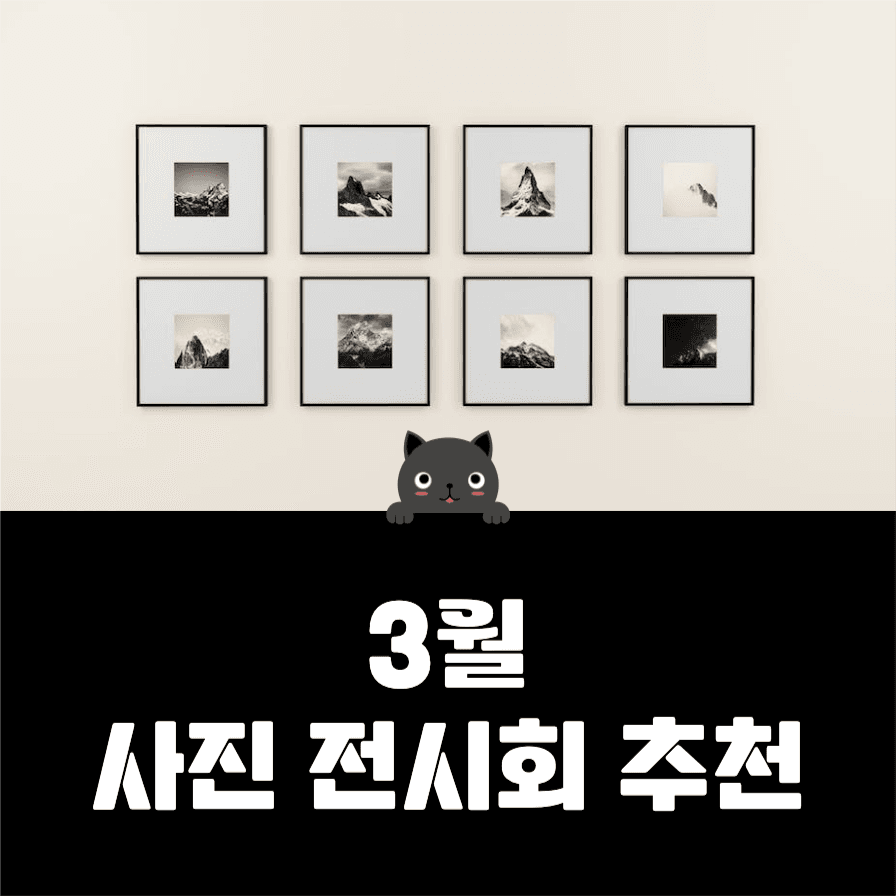 사진 전시회 추천