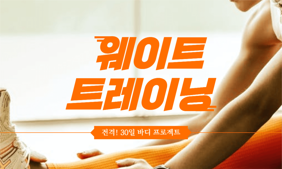 전격! 웨이트 트레이닝