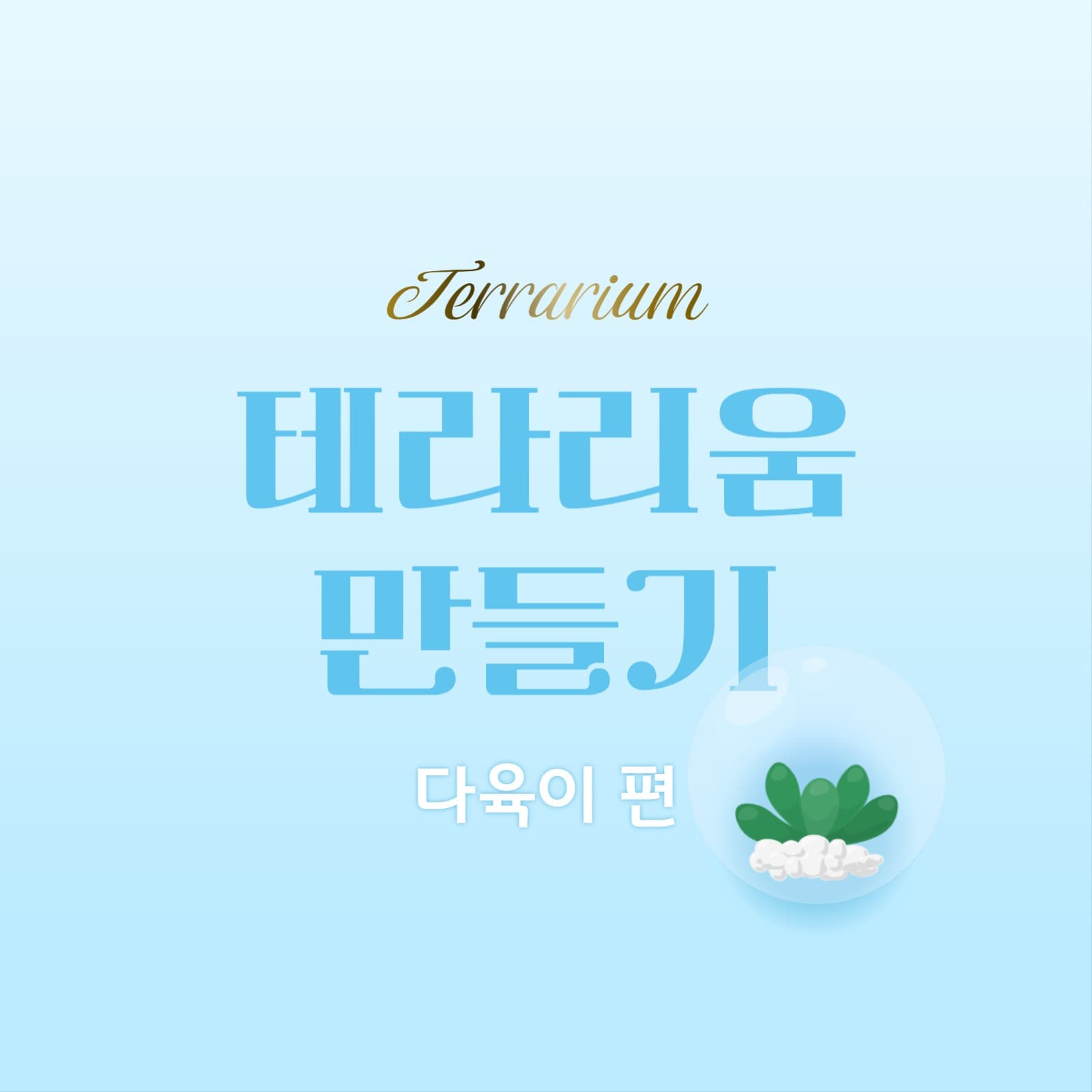 테라리움 만들기 카드뉴스