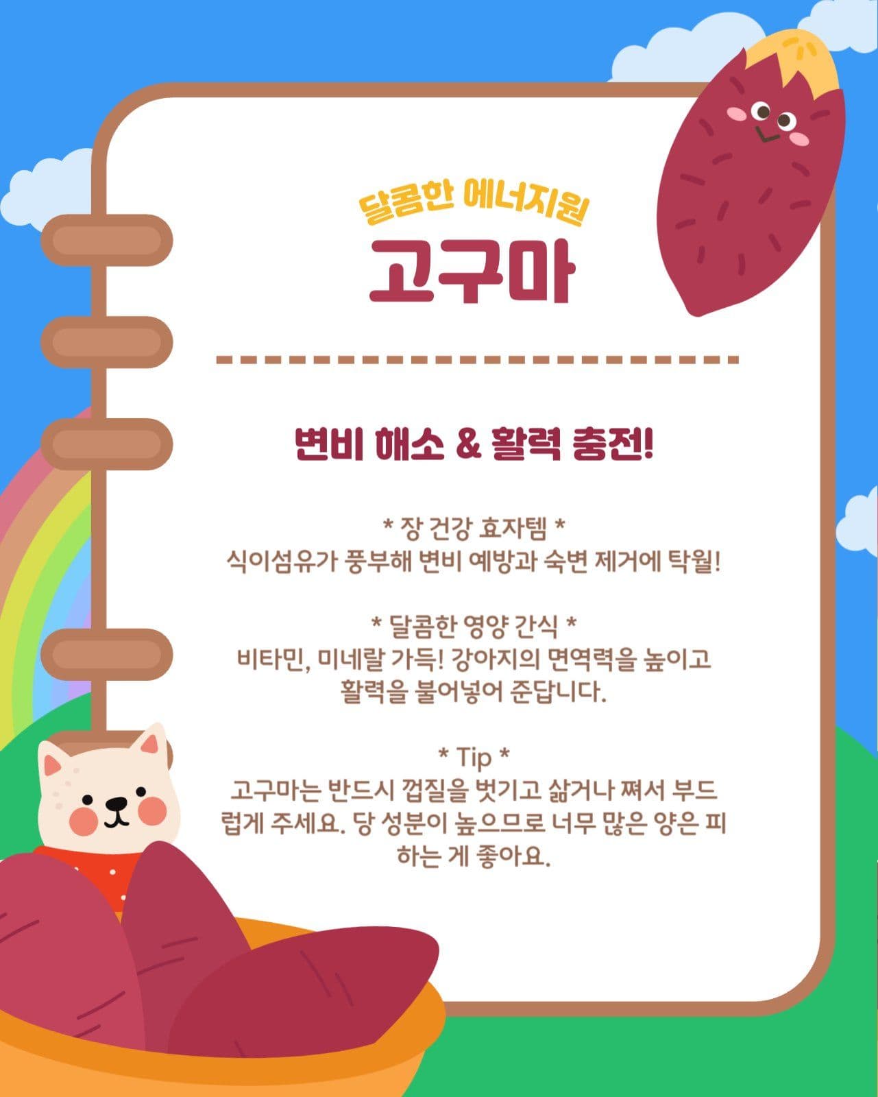 강아지에게 좋은 채소