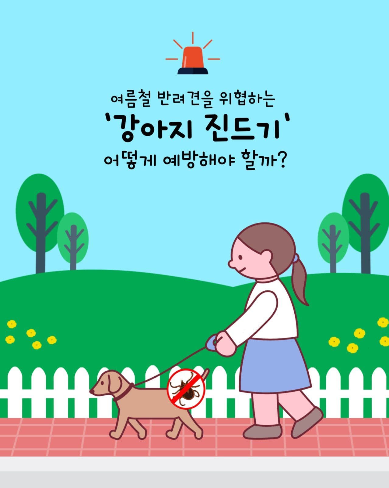 강아지 진드기