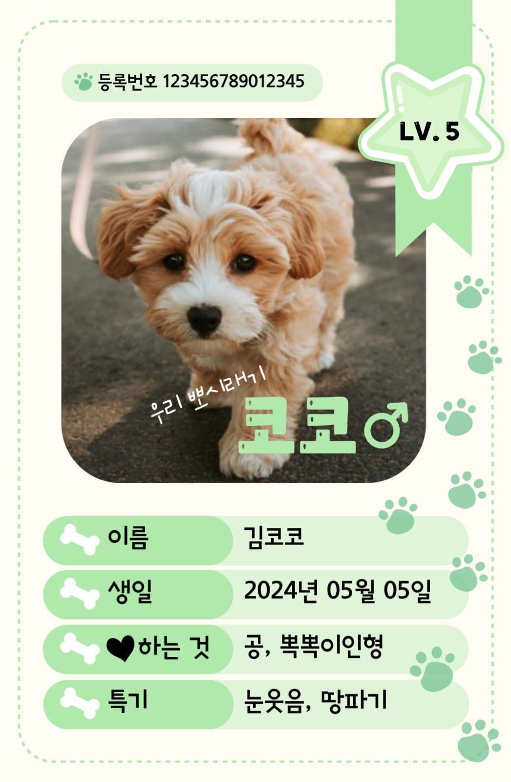 강아지 포토카드
