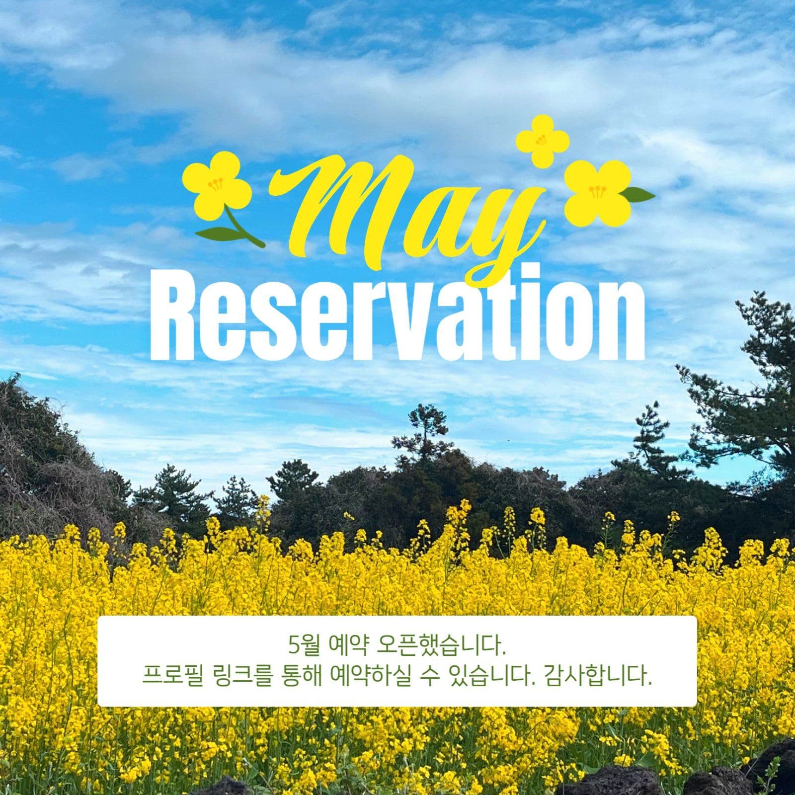 5월 예약 안내 게시물