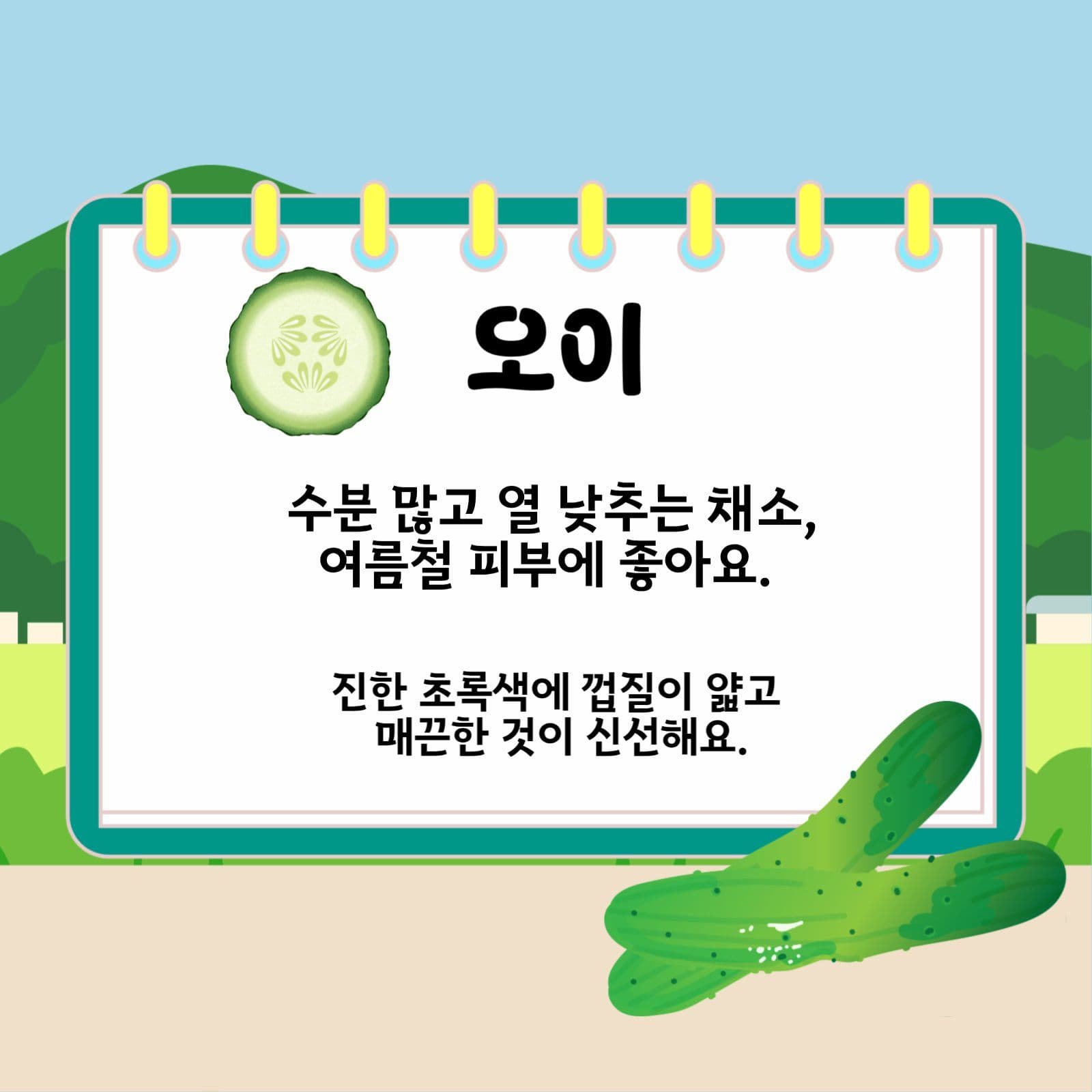 여름제철음식