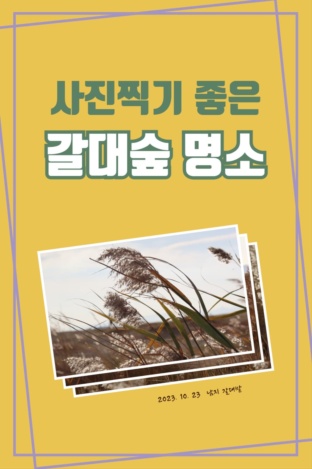 갈대숲 명소 페이스북