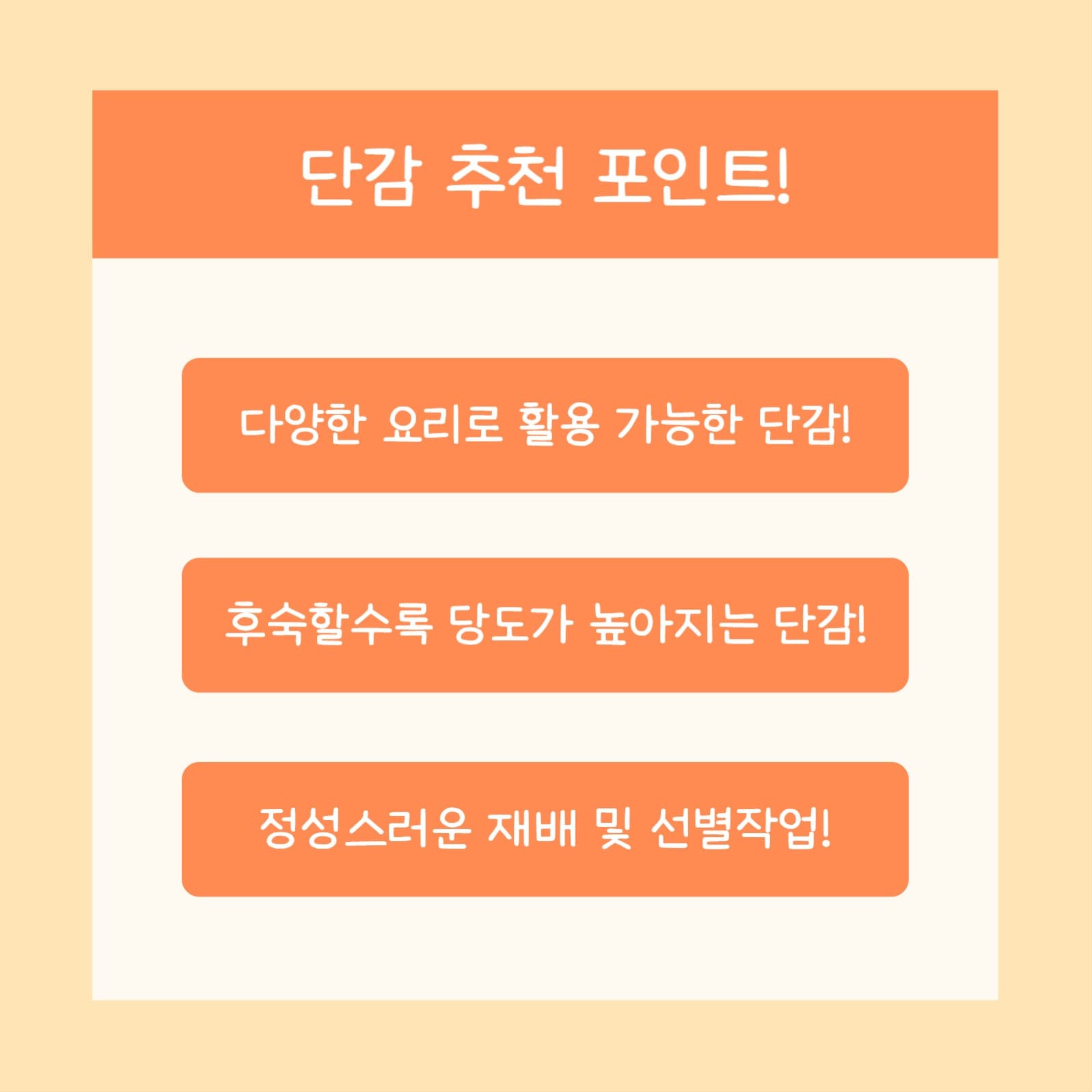 가을 고당도 단감 (카드뉴스)