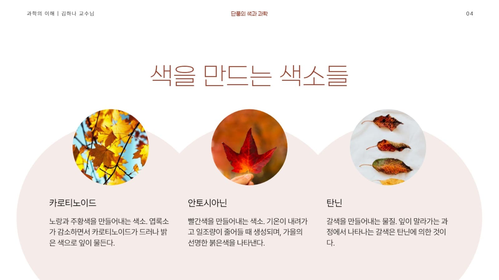 단풍 테마 발표 프레젠테이션