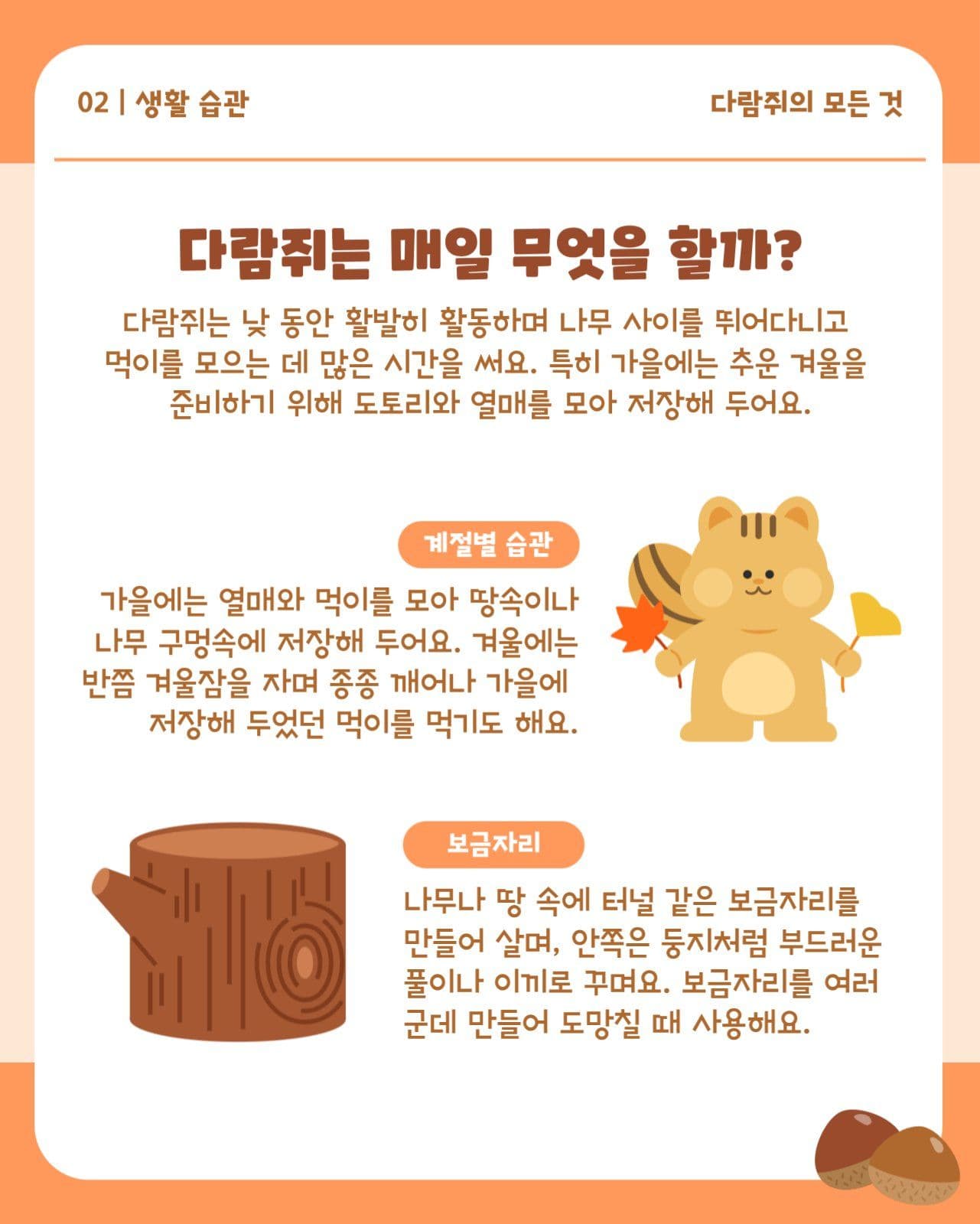 다람쥐 가을 동물 정보 카드뉴스