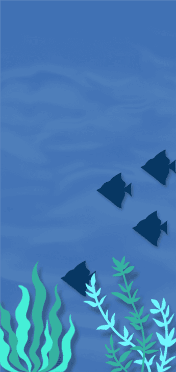 바닷속 풍경