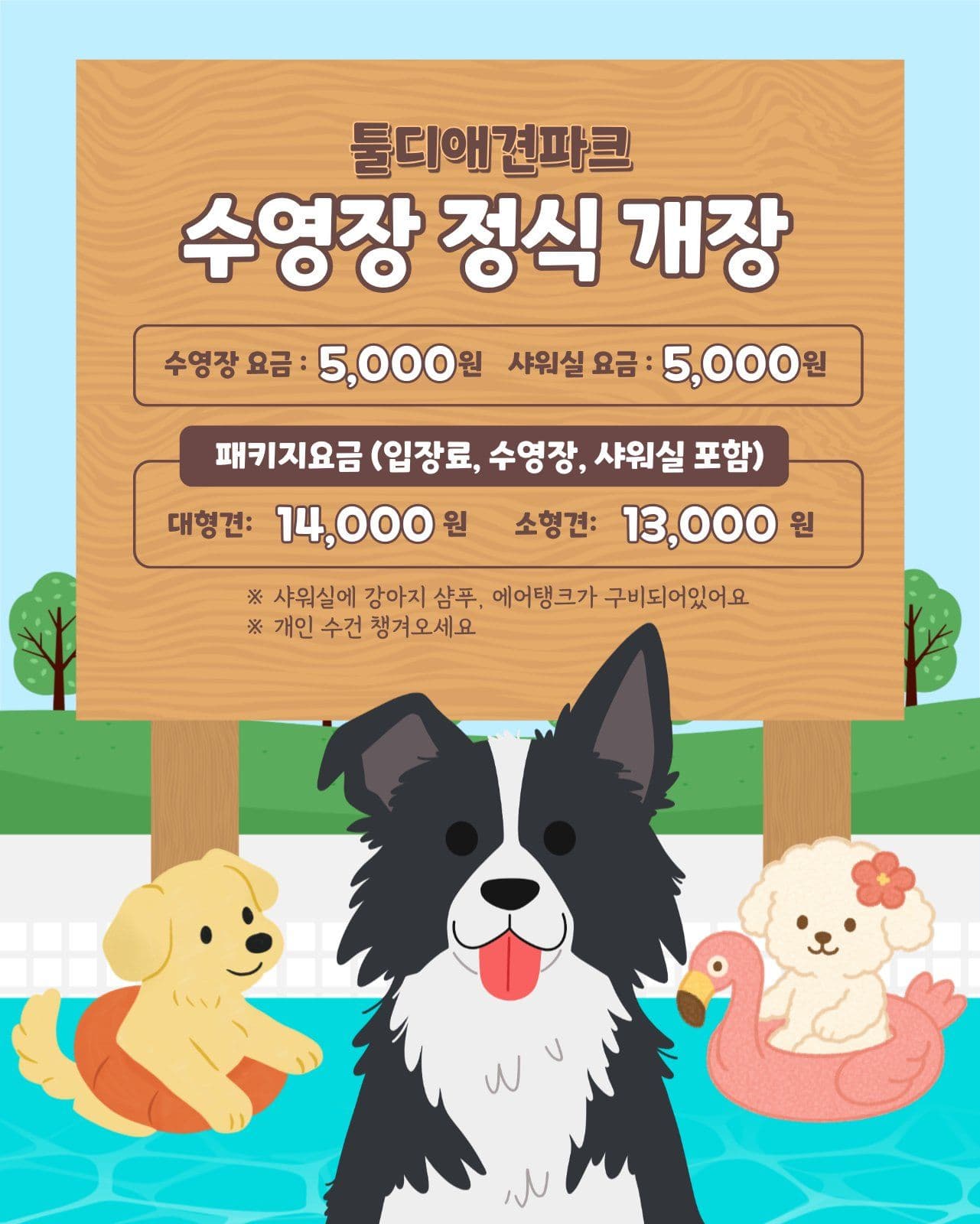 애견 수영장 개장 안내