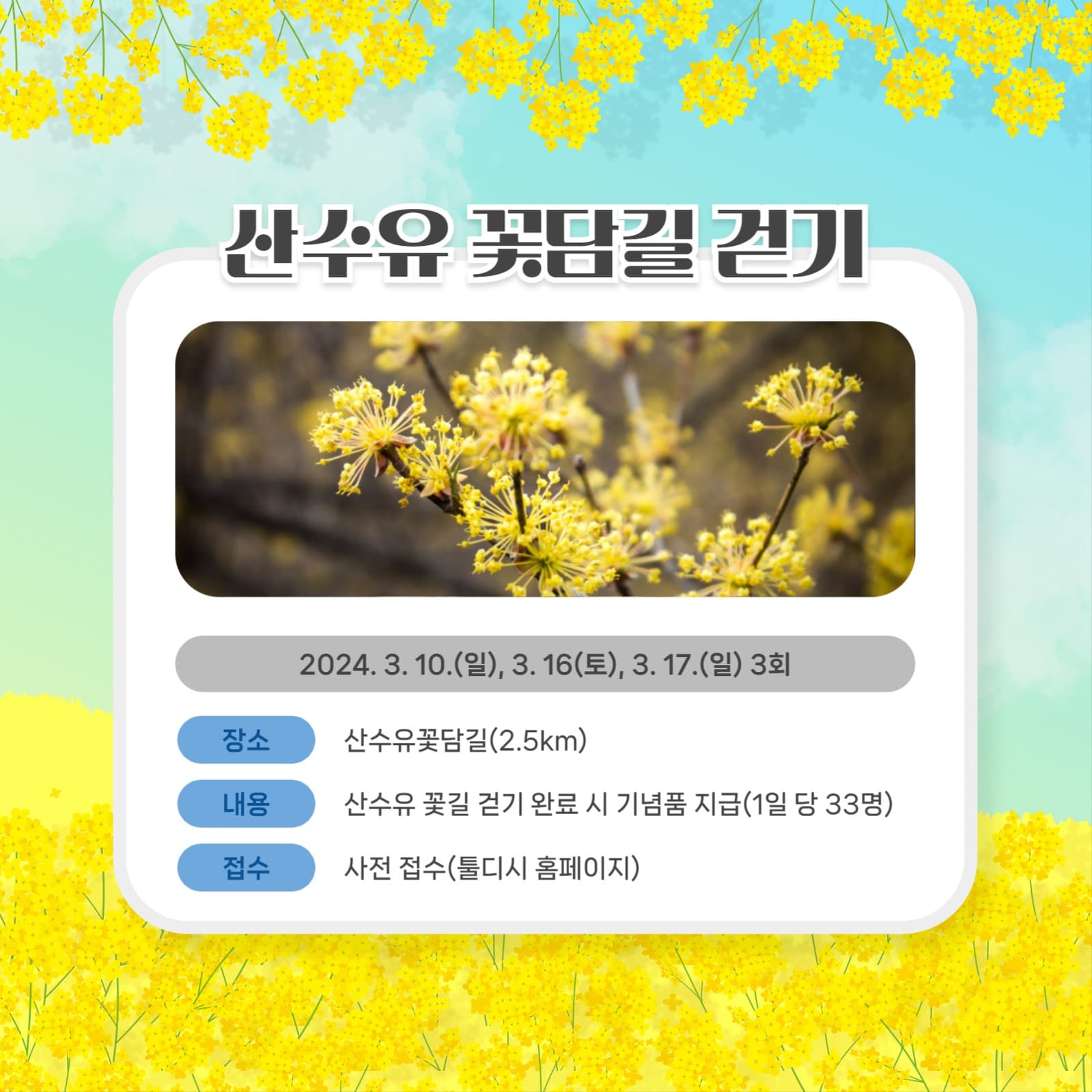 봄축제 템플릿
