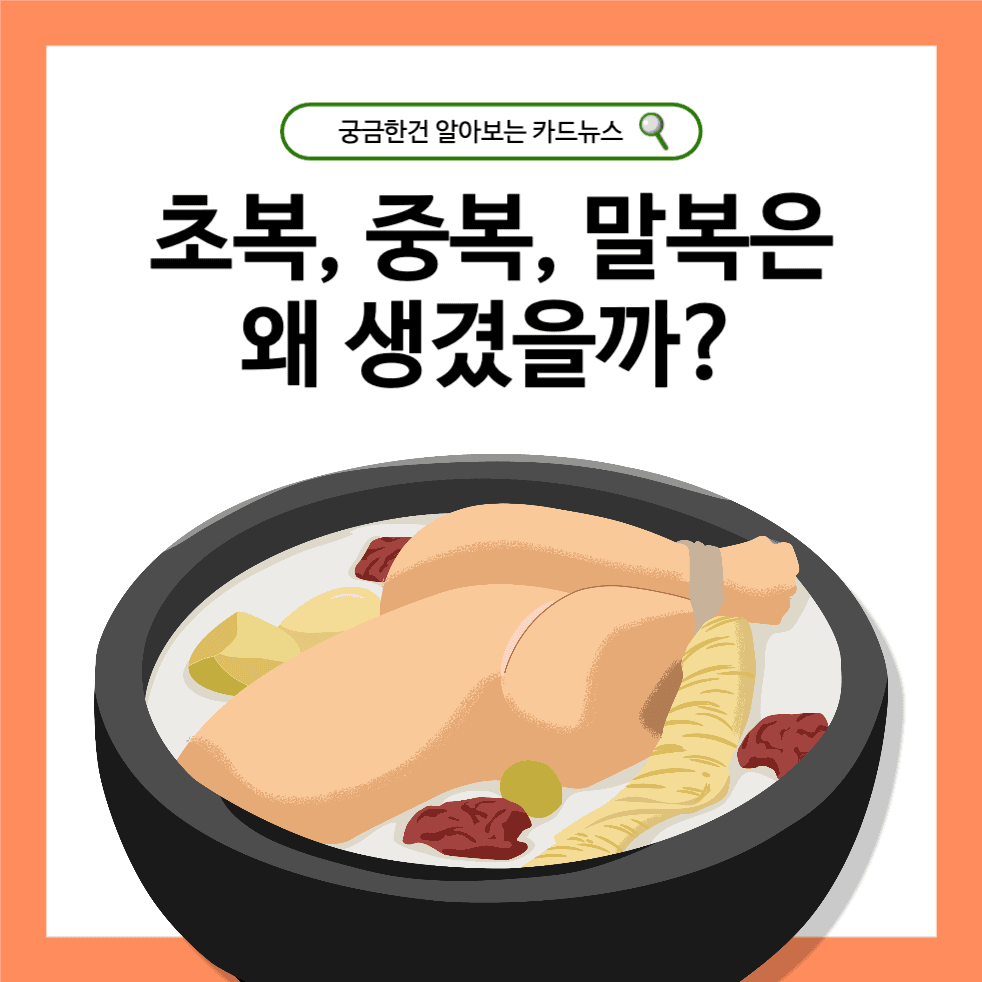 삼복 카드뉴스